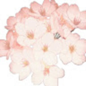 Meet your Posher, Marlene